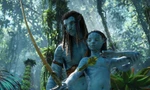 Không hổ danh siêu phẩm của năm, 'Avatar: Dòng chảy của nước' cháy vé từ khi mở bán sớm