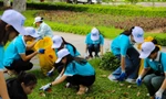 Tuổi trẻ Quy Nhơn hào hứng với hoạt động bảo vệ môi trường, ứng phó với biến đổi khí hậu