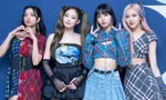 Bị dụ nói xấu Jennie - Jisoo, Lisa và Rosé có câu trả lời khiến fan "xỉu dọc xỉu ngang"