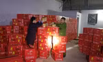 Công an phát hiện pháo tại kho hàng.