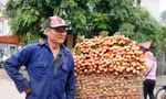 Nông dân Bắc Giang phấn khởi vì vải thiều bán được giá cao. Ảnh: Nguyễn Thắng