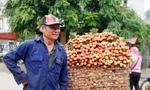 Nông dân Bắc Giang phấn khởi vì vải thiều bán được giá cao. Ảnh: Nguyễn Thắng