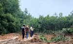 Hà Nội: 'Đất tặc' ngang nhiên phá hoại cây trồng của người dân, xúc trộm hơn 500m3 đất 