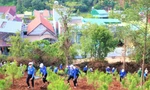 Trồng cây xanh, tạo không gian xanh thu hút du lịch ở Đắk Nông
