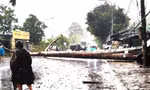 Mưa lớn kèm đá quật ngã cây đè trúng xe cứu thương 