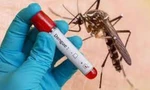 Đắk Lắk ghi nhận ca tử vong do sốt xuất huyết đầu tiên trong năm 