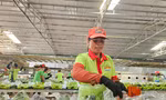 CEO Hạnh Chuối: ‘Giờ tôi ngồi một chỗ cũng có đơn hàng’