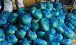 Mới nhất vụ gần 3.000 tấn giá đỗ 'ngậm' chất cấm
