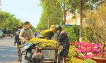 Chợ hoa xuân Buôn Ma Thuột đìu hiu, ‘ngóng’ khách xuống tiền