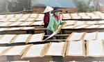 Đơn hàng tới tấp, làng bánh tráng, bún miến hoạt động hết công suất 