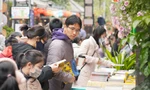 Phố sách Xuân Quý Mão hút khách ngày cận Tết