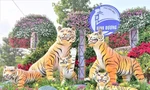 Thích thú với 'gia đình hổ' được khắc họa trên đường hoa xuân tại Bình Dương