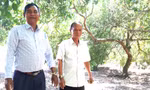 Về nơi nông dân sống biệt thự, đi ô tô thăm vườn ở Bình Dương