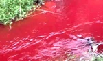 Kỳ lạ nước suối xuất hiện màu đỏ như máu, có mùi khó chịu ở Bình Phước