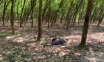 Hai anh em ruột xô xát trong vườn cao su, một người tử vong