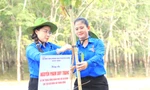 Trồng mới 1 triệu cây xanh 'Vì một Bình Dương xanh'