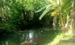 Phát hiện thi thể nữ giới chết bất thường dưới mương nước cạn