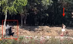 Cô gái khỏa thân chụp ảnh trên đường ở Bình Dương là 'người mẫu được thuê'