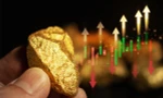 Giá dầu leo thang, giá vàng bất động