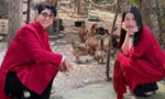 Hoa hậu Mùng 1 Tết: Thùy Tiên đón Giao thừa cùng bố, Phương Nga chụp ảnh ngoài chuồng gà