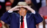 Cổ phiếu công ty ông Trump đang biến động dữ dội 