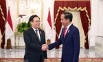 Hình ảnh Chủ tịch Quốc hội tiếp xúc song phương tại Indonesia
