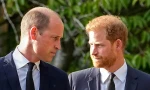Lý do Harry ganh tỵ với William