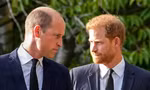 Câu nói khiến Harry phải trả giá