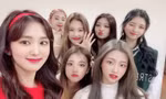 Sự khó hiểu ở đêm nhạc Hà Nội có giá vé đắt hơn BlackPink