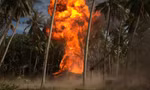 Lý Hải đốt nguyên rừng dừa 