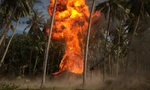 Lý Hải đốt nguyên rừng dừa 