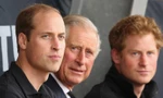 Vua Charles và William không bao giờ gặp riêng Harry