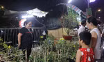 Tiểu thương bến Bình Đông 'ăn chung, ngủ chung cùng hoa' trong những ngày cận Tết