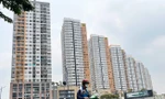 Chung cư cũ 'lên ngôi': Dân đổ xô săn tìm, giá bỗng vọt tăng cao
