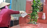 Người phụ nữ 25 năm đón Tết ở nghĩa trang, xúc động thấy cảnh trước mộ phần