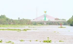 NÓNG: Xả hơn 7 triệu m³ nước hồ Dầu Tiếng về sông Vàm Cỏ Đông để đẩy mặn