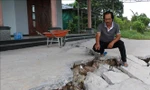 Sau hạn hán, nhiều tuyến đê ở Long An sụt, lún khi có mưa