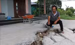 Sau hạn hán, nhiều tuyến đê ở Long An sụt, lún khi có mưa