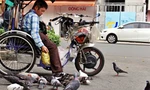 Người bán vé số ở TPHCM mua thức ăn 'đãi' chim trời để bớt cô đơn