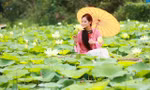 Giới trẻ xúng xính áo dài chụp ảnh bên hoa sen trắng 