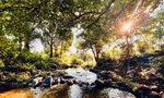 Trốn nắng nóng ở con suối mát cực chill ngay ngoại thành Hà Nội 