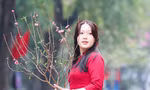 Những cô gái Hà thành thướt tha áo dài xuống phố đón xuân
