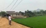 Dự án làm đường lấp mương thủy lợi khiến nhiều diện tích lúa có nguy cơ mất trắng