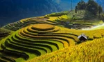 Sa Pa và Mù Cang Chải thúc đẩy hợp tác phát triển du lịch
