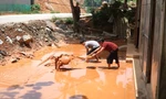 Video cận cảnh nhà dân ngập úng sau nâng cấp Quốc lộ 37 ở Yên Bái