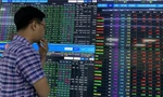 Tiền đổ vào chứng khoán bất ngờ giảm mạnh