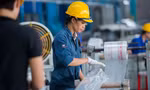 Nhận diện điểm sáng tăng trưởng kinh tế Việt Nam năm nay 