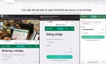 Nóng: Tạm dừng đấu giá biển số ô tô vì trục trặc kỹ thuật