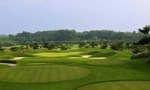 Nhóm golfer bị bắt vì đánh bạc, chuẩn bị tham dự giải chưa được ‘cấp phép’