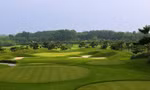 Nhóm golfer bị bắt vì đánh bạc, chuẩn bị tham dự giải chưa được ‘cấp phép’